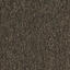 Looking for Interface carpet tiles? Heuga 530 in the color Chocolate is an excellent choice. View this and other carpet tiles in our webshop.