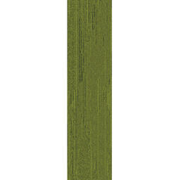 Looking for Interface carpet tiles? Urban Retreat 501 - Planks in the color Grass is an excellent choice. View this and other carpet tiles in our webshop.