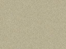 Looking for Interface carpet tiles? Sherbet Fizz in the color Cream is an excellent choice. View this and other carpet tiles in our webshop.
