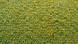 Interface Heuga 584 / Bouclé / 50 cm x 50 cm / Green