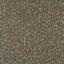 Looking for Interface carpet tiles? Kamala in the color Bonsai is an excellent choice. View this and other carpet tiles in our webshop.