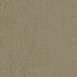 Looking for Interface carpet tiles? Bertola Pietra in the color Muschio is an excellent choice. View this and other carpet tiles in our webshop.