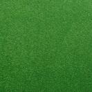 Looking for Interface carpet tiles? Polichrome in the color Frog is an excellent choice. View this and other carpet tiles in our webshop.
