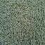 Looking for Private Label carpet tiles? Lazy XXL in the color AAA Mind Set High is an excellent choice. View this and other carpet tiles in our webshop.