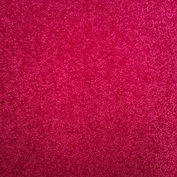 Looking for Interface carpet tiles? Polichrome in the color Fuchsia is an excellent choice. View this and other carpet tiles in our webshop.