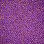 Looking for Interface carpet tiles? Special Custom Made in the color Lizard Violet is an excellent choice. View this and other carpet tiles in our webshop.