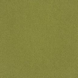 Looking for Interface carpet tiles? Palette 2000 in the color Guacamole is an excellent choice. View this and other carpet tiles in our webshop.