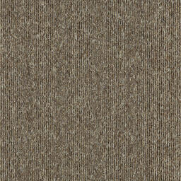 Looking for Interface carpet tiles? Elevation II in the color Camelot is an excellent choice. View this and other carpet tiles in our webshop.