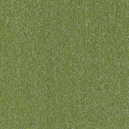 Looking for Interface carpet tiles? Twist & Shine Micro in the color Lime Micro is an excellent choice. View this and other carpet tiles in our webshop.