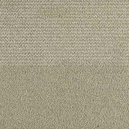Looking for Interface carpet tiles? Entropy II in the color Shale is an excellent choice. View this and other carpet tiles in our webshop.
