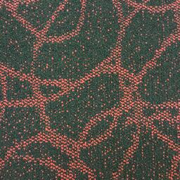 Looking for Interface carpet tiles? Scribble in the color Black/Red is an excellent choice. View this and other carpet tiles in our webshop.