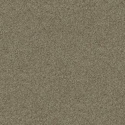 Looking for Interface carpet tiles? Polichrome in the color Hazel is an excellent choice. View this and other carpet tiles in our webshop.