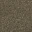 Looking for Interface carpet tiles? New Dimensions ll in the color Granary is an excellent choice. View this and other carpet tiles in our webshop.