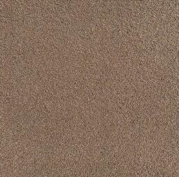 Looking for Interface carpet tiles? Special Custom Made in the color Lizard - Beige is an excellent choice. View this and other carpet tiles in our webshop.