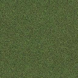 Looking for Interface carpet tiles? Touch & Tones 102 in the color Moss is an excellent choice. View this and other carpet tiles in our webshop.