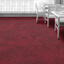 Looking for Interface carpet tiles? Composure CQuest™ in the color Berry is an excellent choice. View this and other carpet tiles in our webshop.