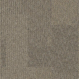 Looking for Interface carpet tiles? Transformation CQuest™ in the color Desert is an excellent choice. View this and other carpet tiles in our webshop.