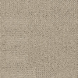 Looking for Interface carpet tiles? Transformation CQuest ™ BioX in the color Oatmeal is an excellent choice. View this and other carpet tiles in our webshop.