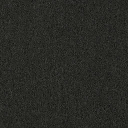 Looking for Interface carpet tiles? Heuga 580 CQuest™ BioX in the color Ebony is an excellent choice. View this and other carpet tiles in our webshop.