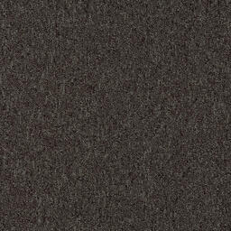 Looking for Interface carpet tiles? Heuga 580 CQuest™ BioX in the color Cacao is an excellent choice. View this and other carpet tiles in our webshop.