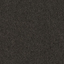 Looking for Interface carpet tiles? Heuga 580 CQuest™ BioX in the color Chocolate is an excellent choice. View this and other carpet tiles in our webshop.