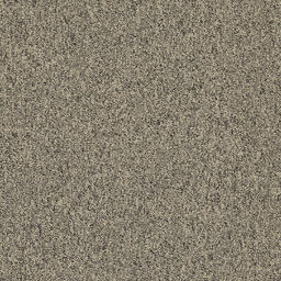 Looking for Interface carpet tiles? Heuga 727 CQuest™ in the color Copra (SD) is an excellent choice. View this and other carpet tiles in our webshop.