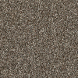 Looking for Interface carpet tiles? Heuga 727 SD/PD CQuest ™ BioX in the color Nutmeg (SD) is an excellent choice. View this and other carpet tiles in our webshop.