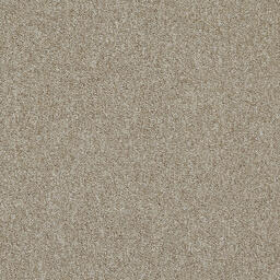 Looking for Interface carpet tiles? Heuga 727 SD/PD CQuest ™ BioX in the color Oyster (SD) is an excellent choice. View this and other carpet tiles in our webshop.