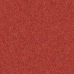 Looking for Interface carpet tiles? Heuga 727 SD/PD CQuest ™ BioX in the color Hot Pepper (SD) is an excellent choice. View this and other carpet tiles in our webshop.