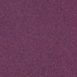 Looking for Interface carpet tiles? Heuga 727 CQuest Bio™ in the color Plum (SD) is an excellent choice. View this and other carpet tiles in our webshop.