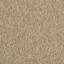 Looking for Interface carpet tiles? Employ Loop in the color Caramel is an excellent choice. View this and other carpet tiles in our webshop.