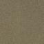 Looking for Interface carpet tiles? Heuga 580 in the color Sisal is an excellent choice. View this and other carpet tiles in our webshop.