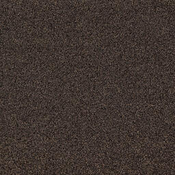 Looking for Interface carpet tiles? Touch & Tones 102 in the color Coffee is an excellent choice. View this and other carpet tiles in our webshop.