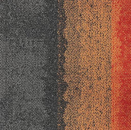 Looking for Interface carpet tiles? Composure Edge in the color Diffuse/Orange is an excellent choice. View this and other carpet tiles in our webshop.