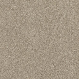 Looking for Interface carpet tiles? Polichrome in the color Byamee is an excellent choice. View this and other carpet tiles in our webshop.