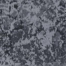 Looking for Interface carpet tiles? Raku in the color Eclipse is an excellent choice. View this and other carpet tiles in our webshop.