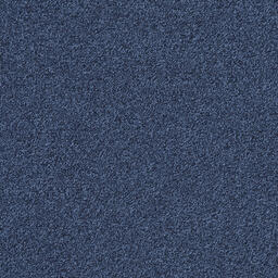 Interface Biosfera Boucle / Bouclé / 50 cm x 50 cm / Blue