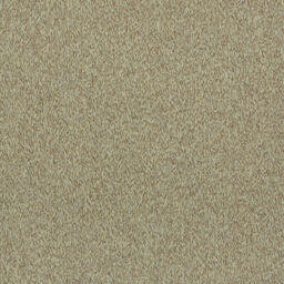Looking for Interface carpet tiles? Paradox II in the color Sand is an excellent choice. View this and other carpet tiles in our webshop.