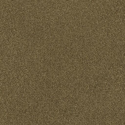 Interface Polichrome / Velor / 50 cm x 50 cm / Grey