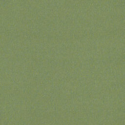 Looking for Interface carpet tiles? Biosfera Velour in the color Spinelle Verde is an excellent choice. View this and other carpet tiles in our webshop.