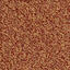 Looking for Interface carpet tiles? Sherbet Fizz in the color Orangeade is an excellent choice. View this and other carpet tiles in our webshop.