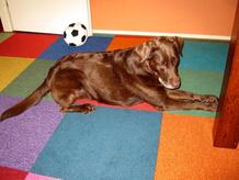 Bouclé Mix & Match Carpet Tiles